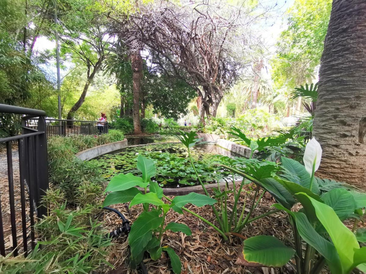 Home2Book Charming Apartment Santa Cruz, Wifi Ngoại thất bức ảnh